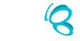 Hybrid